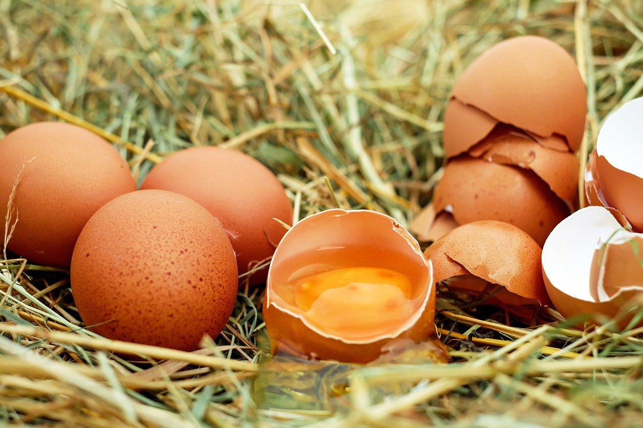 What is an eggshell plaintiff and how does the term impact personal injury?